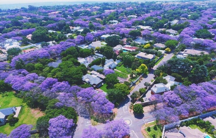  Du Lịch Nam Phi Tết 2025: Hà Nội - Johannesburg - Pretoria - Safari Game Lodge - Cape town - Vùng Rượu Vang Stellenbosch 8 Ngày Bay Singapore Airlines
